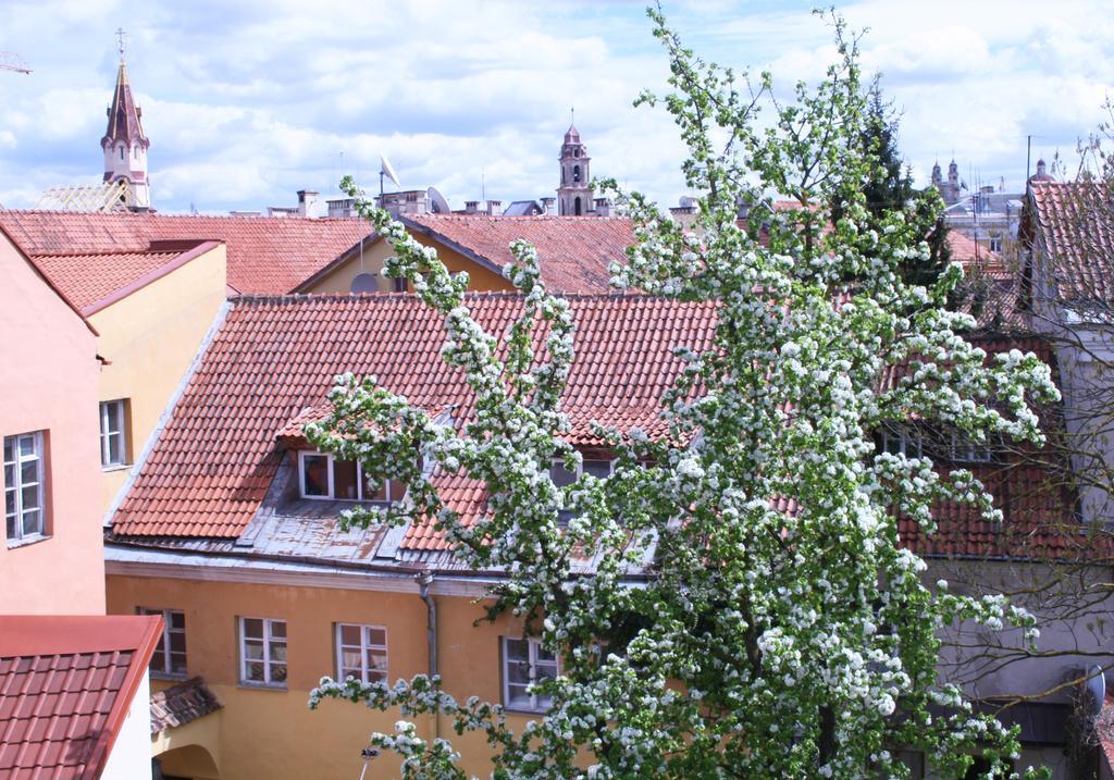 Old Town Apartment Antokolskio فيلنيوس المظهر الخارجي الصورة